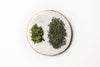 House Green (Sencha) *ORGANIC*