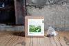 A labeled kraft box with a triangular tea bag (sachet), showcasing the product House Hojicha.